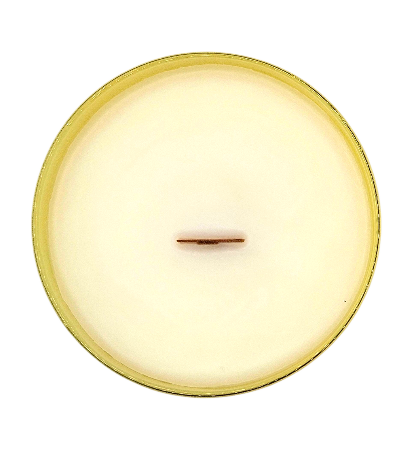 Melon Crush Single Wick Candles